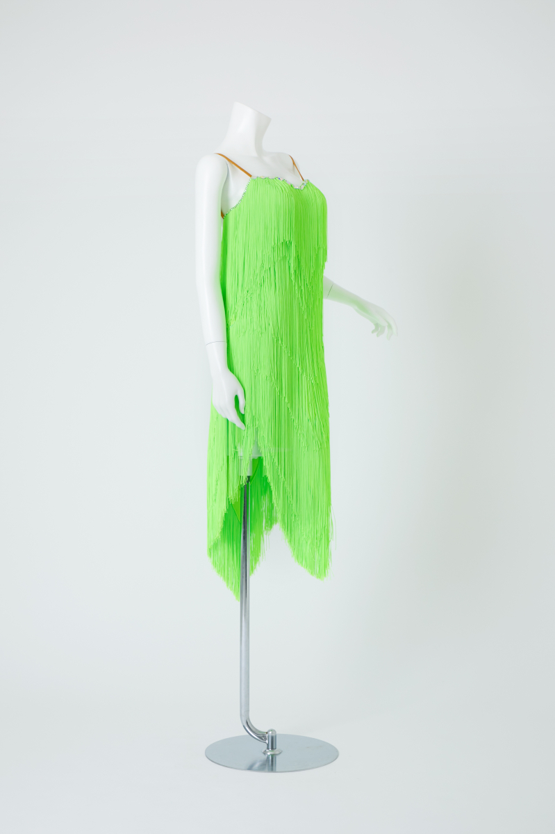 ライムグリーンフリンジL　　[カテゴリー]/R/Cha/Sa/Ji/ｒ/s/cha/ji/ルンバ/サンバ/チャチャチャ/ジャイブ/ｻﾝﾊﾞ/ﾁｬﾁｬﾁｬ/ｼﾞｬｲﾌﾞ/ﾙﾝﾊﾞ/Rumba/ChaChaCha/Samba/Jive/　